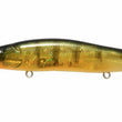 Megabass Vision Oneten +1