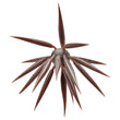 Hideup Coike FISH Medium Elastomer