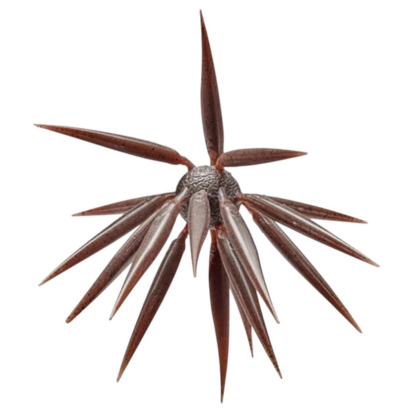 Hideup Coike FISH Medium Elastomer
