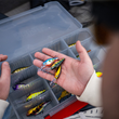 RAPALA HARVEST SHAD