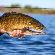 Rapala PRECISION XTREME DEEP MAVRIK 110