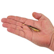 Berkley PowerBait Drip Minnow