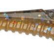 Rapala Mooch Minnow (CRUSHCITY™)