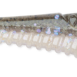 Rapala Mooch Minnow (CRUSHCITY™)