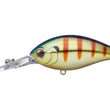 Evergreen CR-10 Crankbait