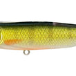 Megabass Dog-X Quick Walker