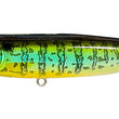 Megabass Dog-X Quick Walker