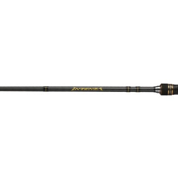 Shimano Intenza A Casting Rod