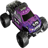 RADD 1/18 RTR Brushed Monster Truck