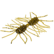 Strike King Sexy Bug (2 Sizes)
