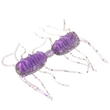 Strike King Sexy Bug (2 Sizes)