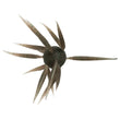 Hideup Coike FISH Medium Elastomer