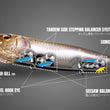 Megabass Dogmax (Sliding Model)