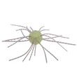 Strike King Tumbleweed Salted & Floating