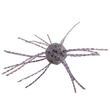 Strike King Tumbleweed Salted & Floating
