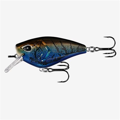 13 Phacochère de pêche