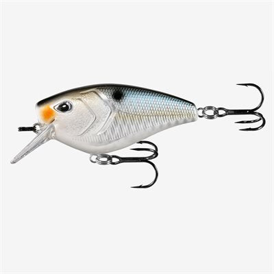 13 Phacochère de pêche