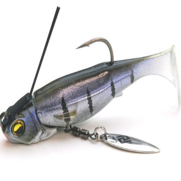 Raid Japón Nadador Jefe Libero