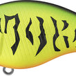 Evergreen CH-1 Crankbait