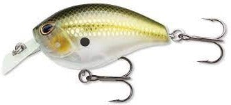 Tormenta Arashi Tormenta Silenciosa