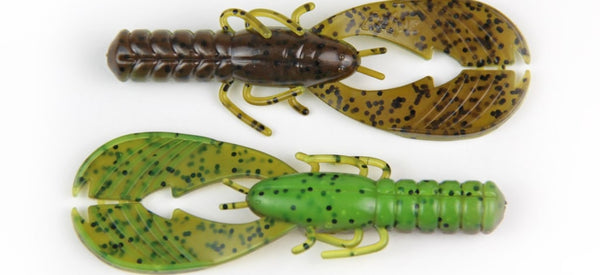 Craw musculaire du dos Xzone